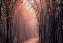 雷速体育-包含费耶诺德赛后止住颓势，志在国王杯名次提升，更衣室稳定，数据趋势出现新变化的词条